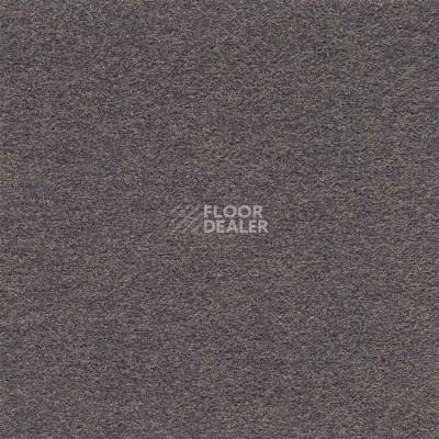 Ковролин Finett Dimension p 759202 – f 759102 фото 1 | FLOORDEALER